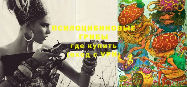 дмт Балахна
