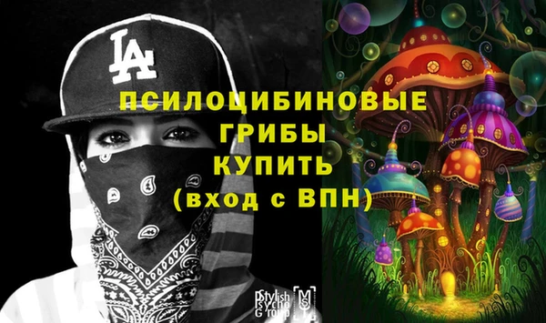 молекула духа Балабаново