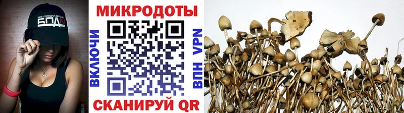 Галлюциногенные грибы ЛСД  Сусуман 